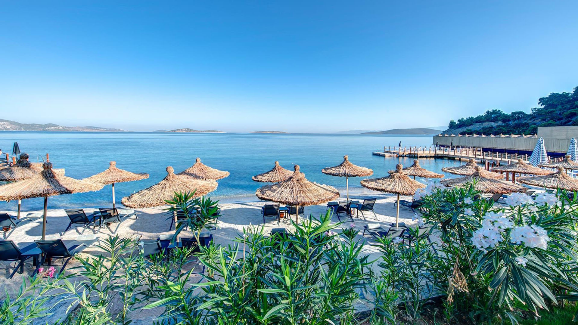 Cons Tech İnşaat Gayrimenkul